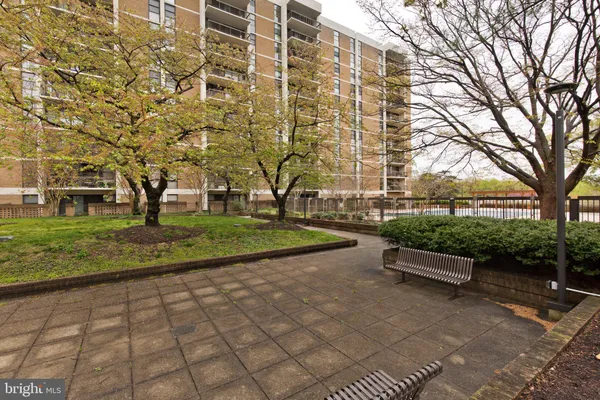 a view of a garden with tall trees