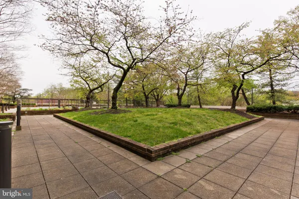 a view of a backyard with large trees