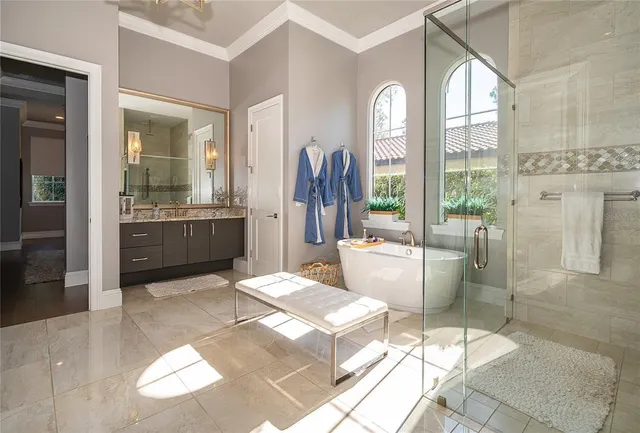 a view of a park with large trees