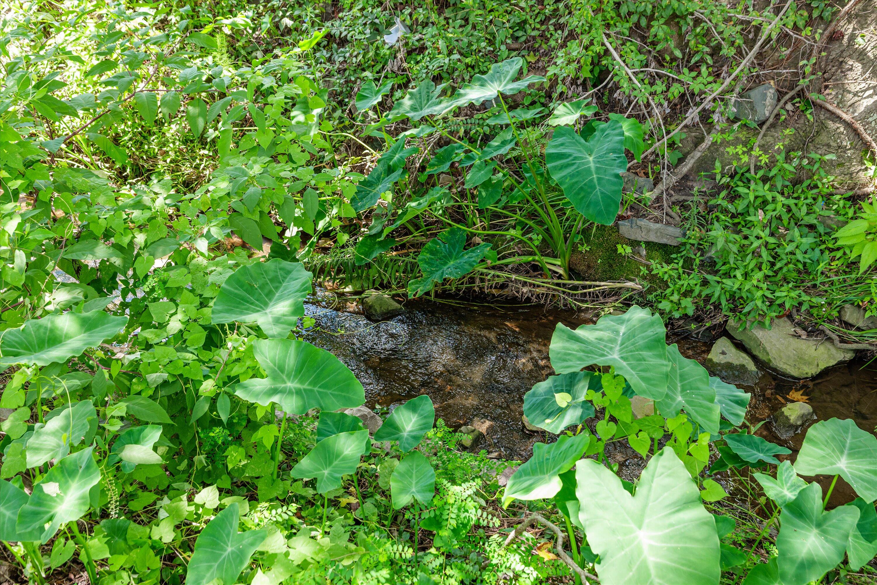 3924 Old Trail Road Augusta, GA 30907 - Photo 28 of 30 28- rear brook