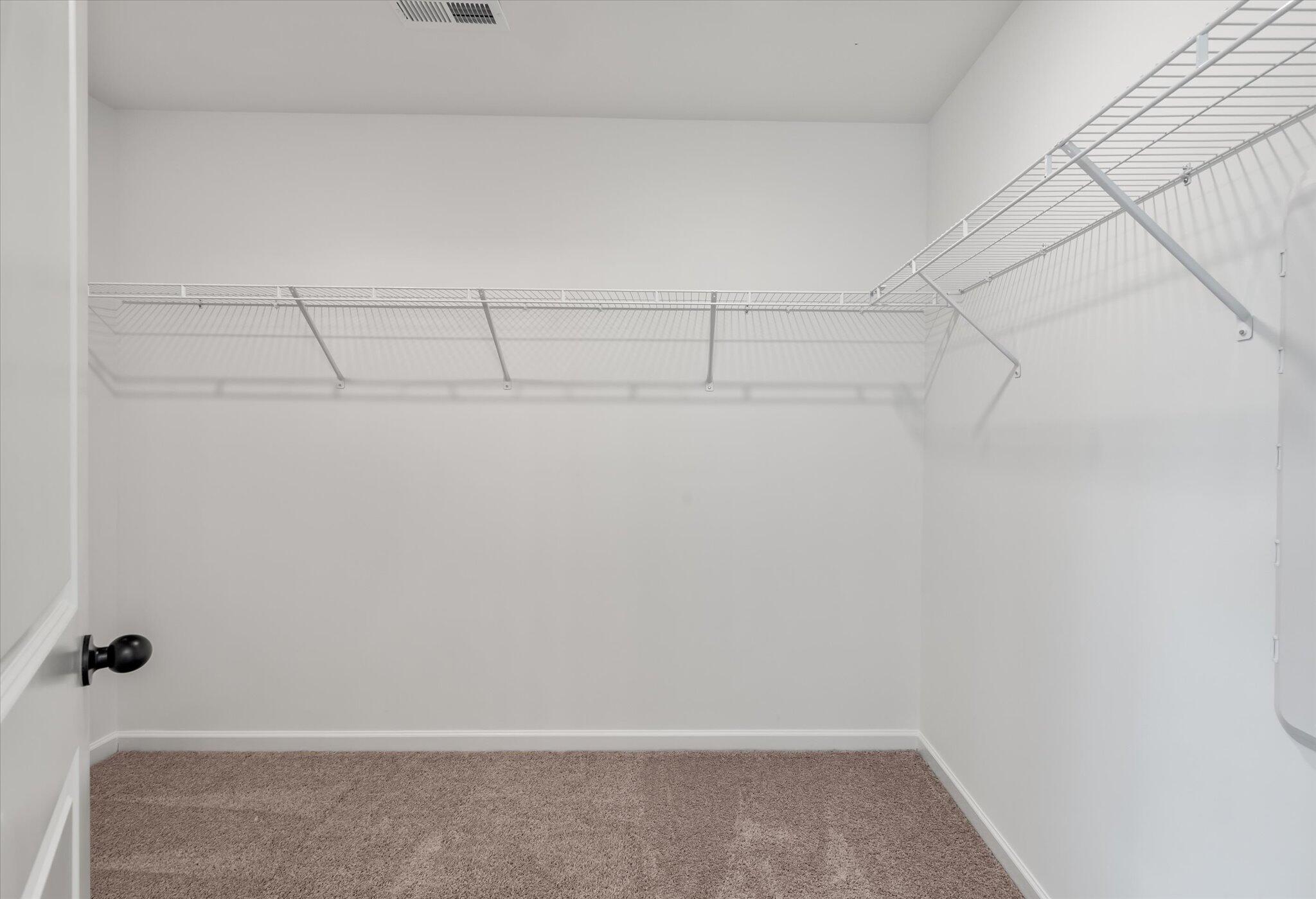 121 Palfrey Drive Ridgeville, SC 29472 - Photo 35 of 46 Primary Walk In Closet