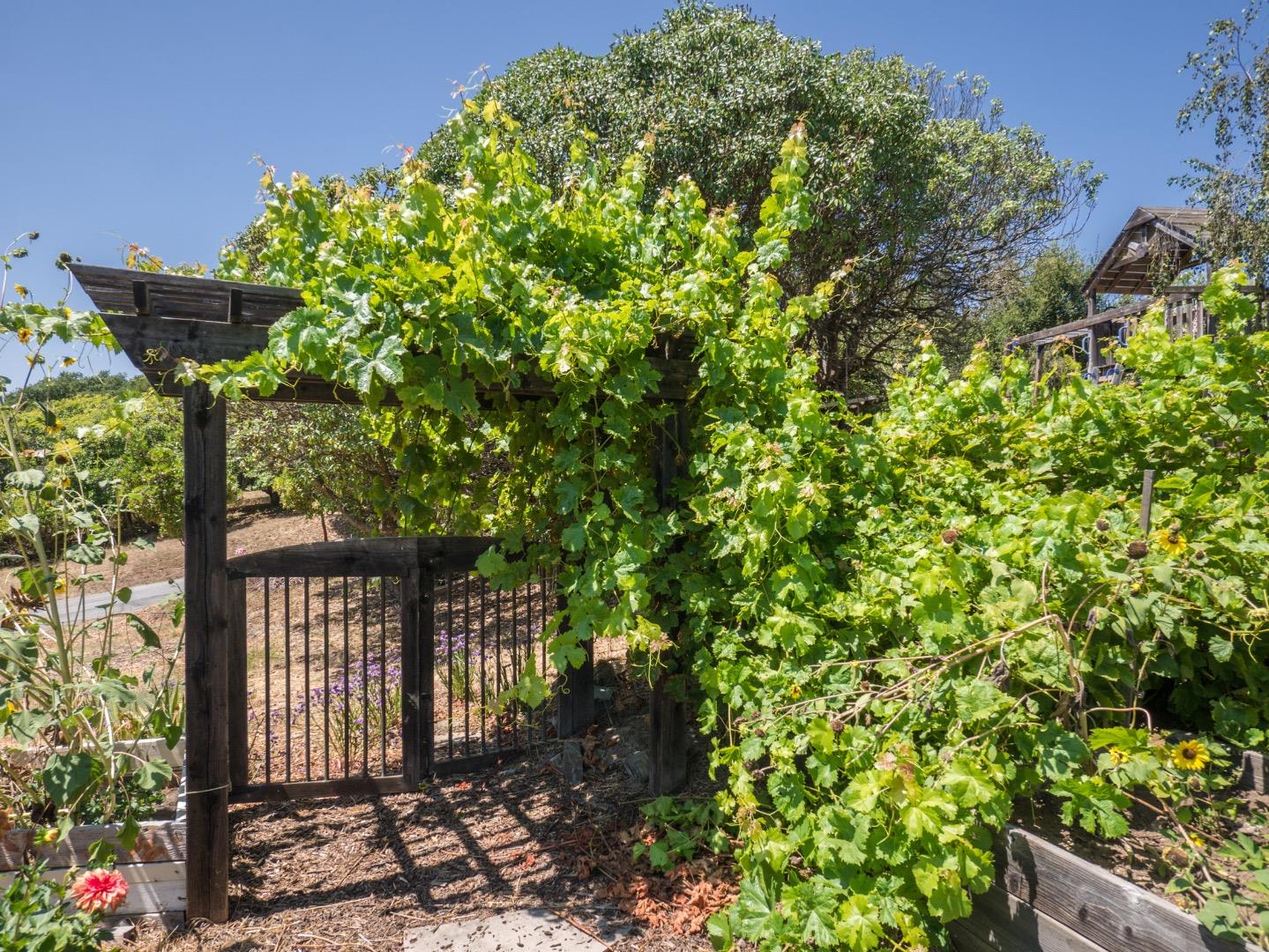 920 Smith Road Watsonville, CA 95076 - Photo 20 of 26
