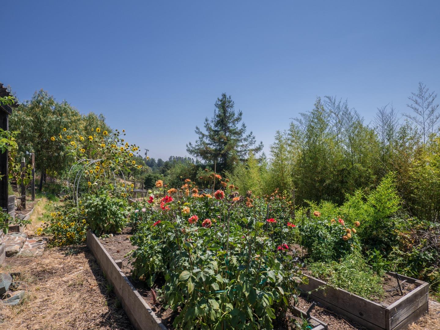 920 Smith Road Watsonville, CA 95076 - Photo 21 of 26