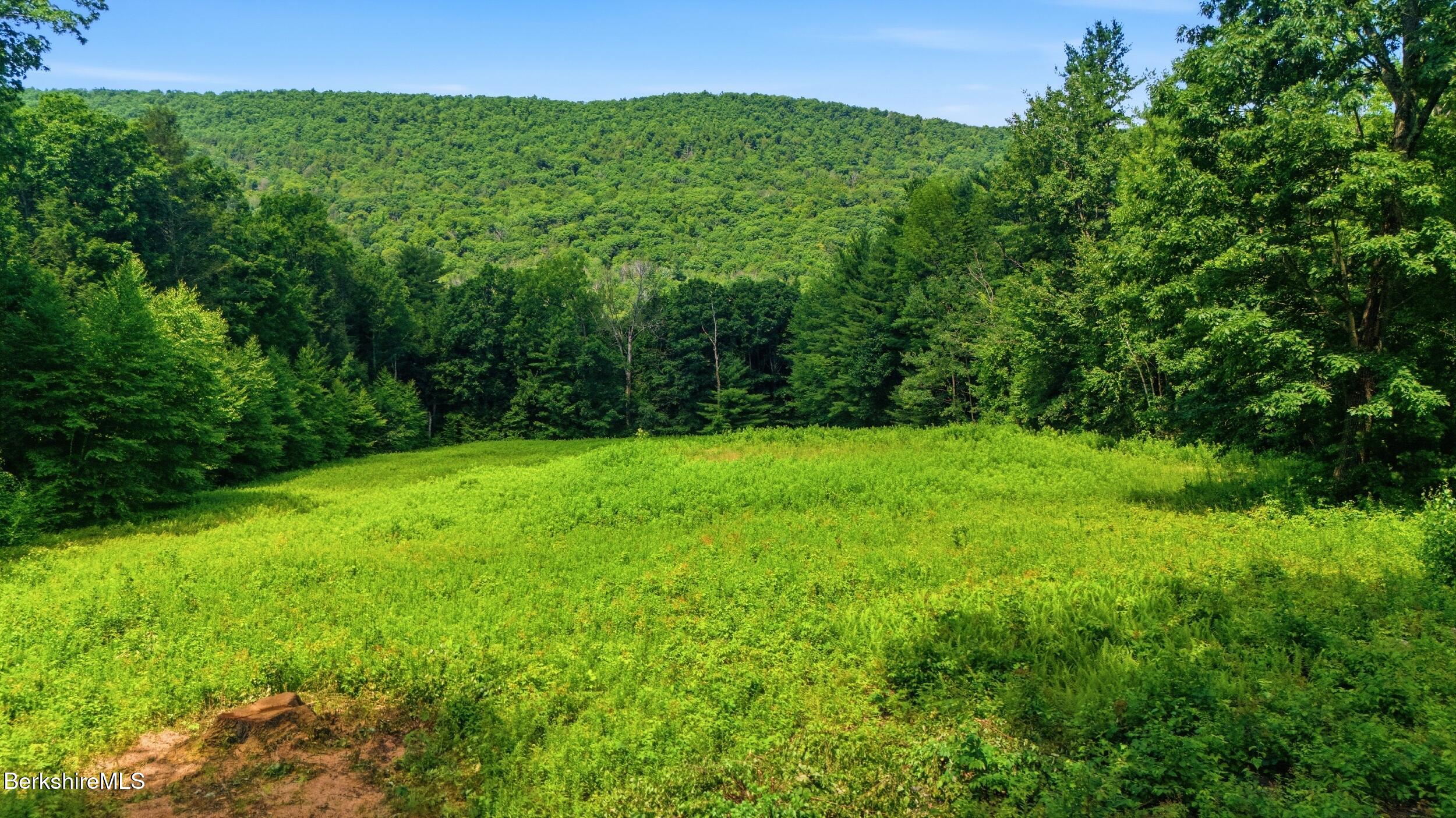 16 Old Tree Farm Road Stockbridge, MA 01266 - Photo 46 of 47 Views