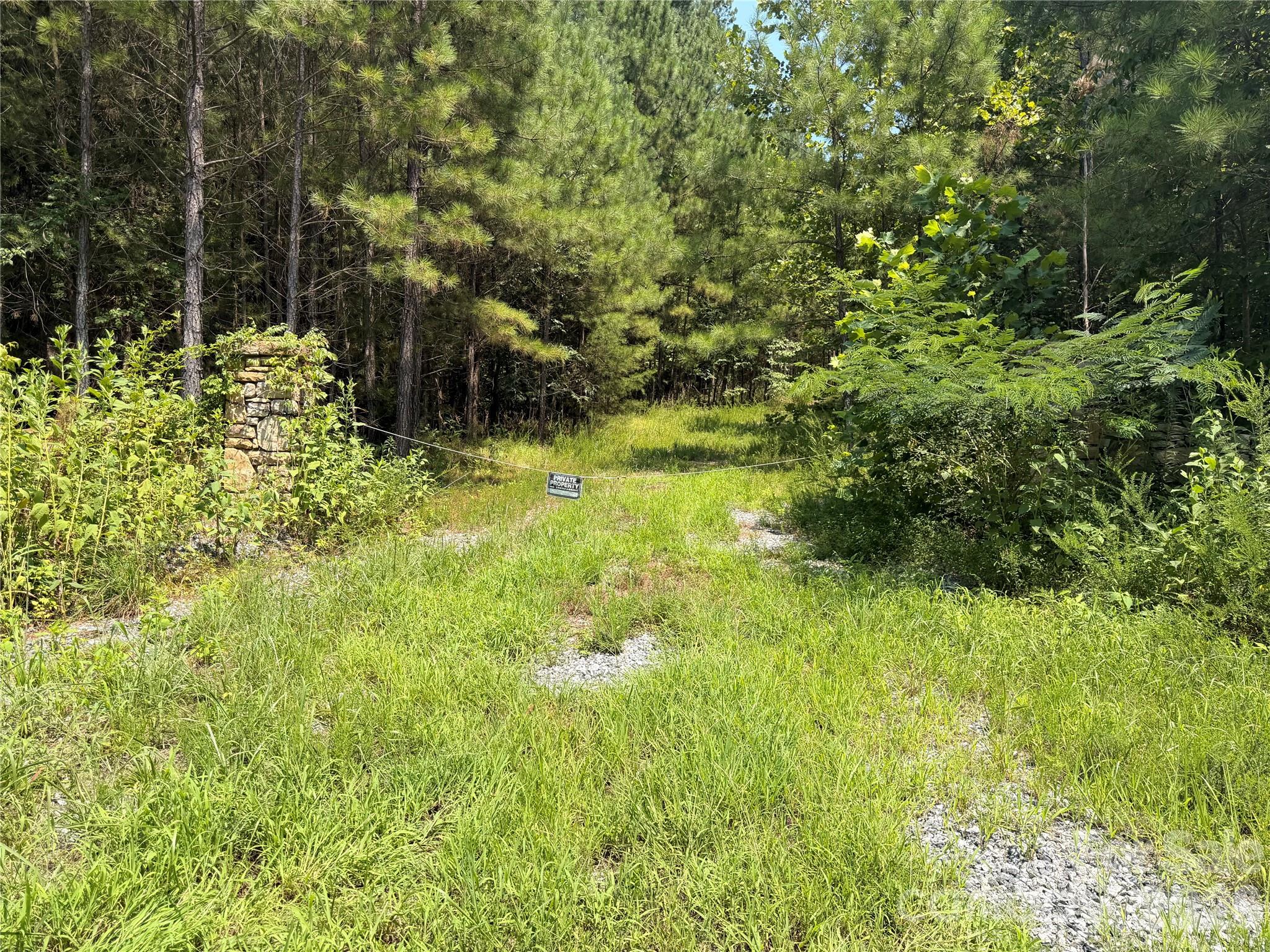 0 Thompson Lake Road Rutherfordton, NC 28139 - Photo 10 of 13 Gallery Image 10
