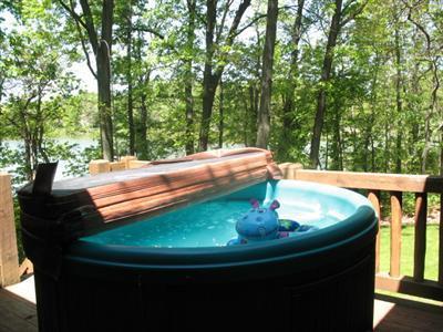 59168 Dove Lane Three Rivers, MI 49093 - Photo 9 of 23 Additional Photo