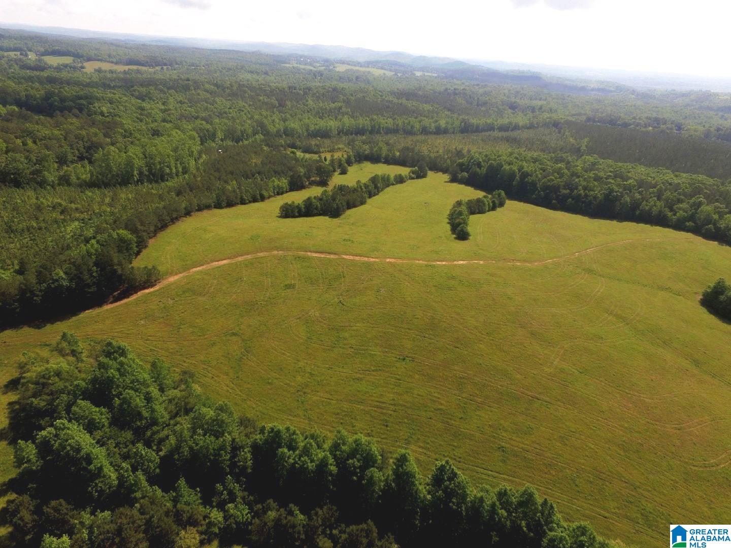 Oaks Chapel Road, Unit 76 Goodwater, AL 35072 - Photo 20 of 25