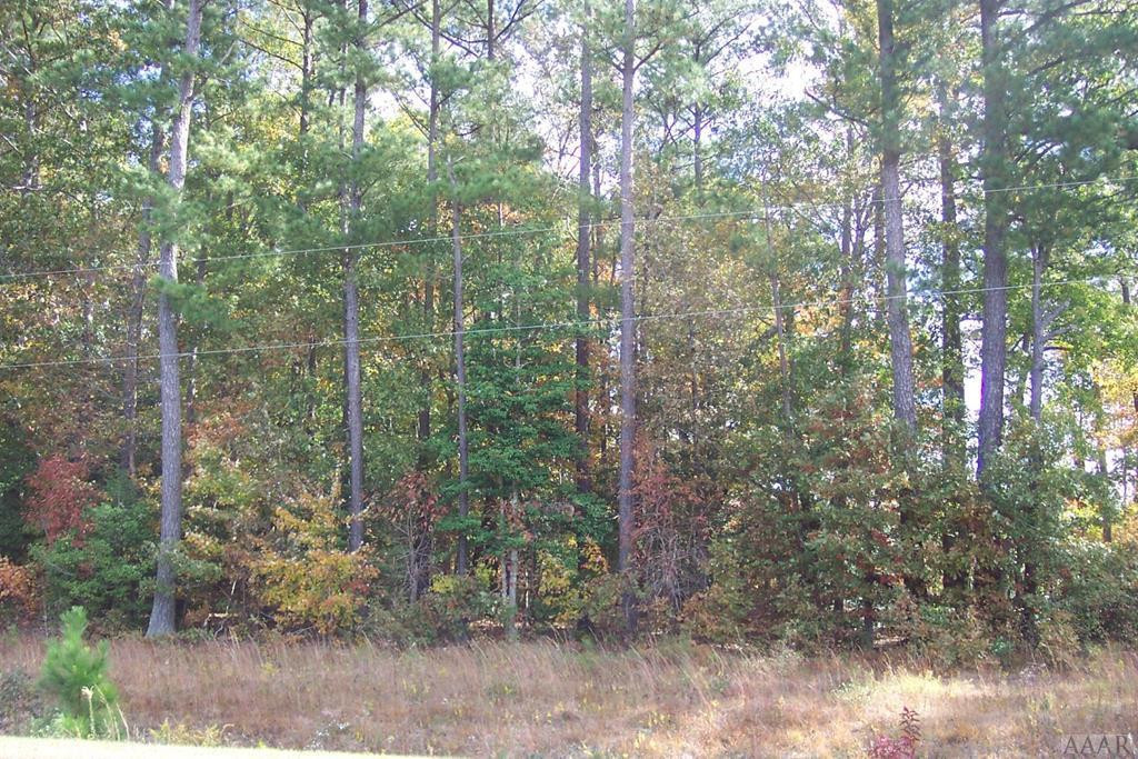 N/a Farmers Chemical Road Cofield, NC 27922 - Photo 1 of 3 Main View