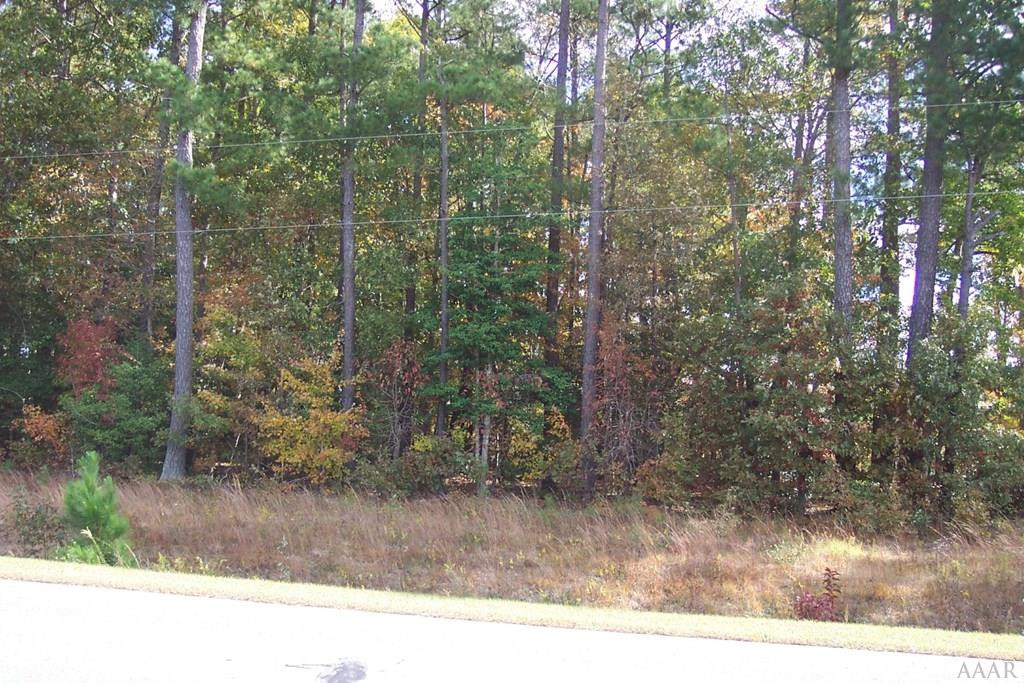 N/a Farmers Chemical Road Cofield, NC 27922 - Photo 2 of 3 Gallery Image 2