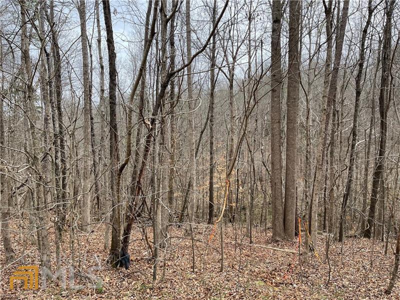3334 Eberhart Cemetary Road Gainesville, GA 30507 - Photo 1 of 1 a view of a yard