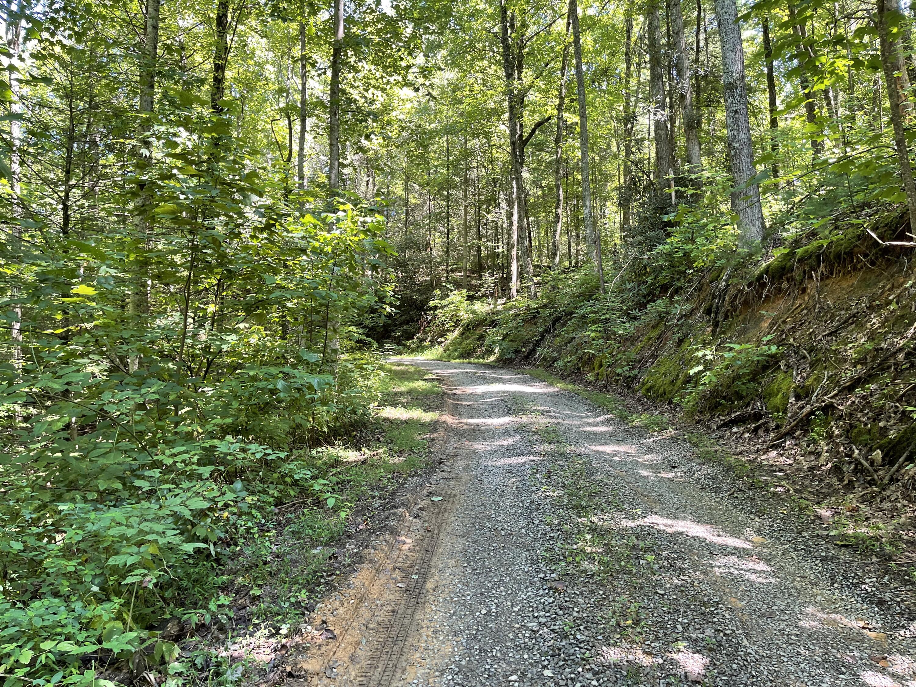 Hollow Road Cosby, TN 37722 - Photo 1 of 8 IMG_9815