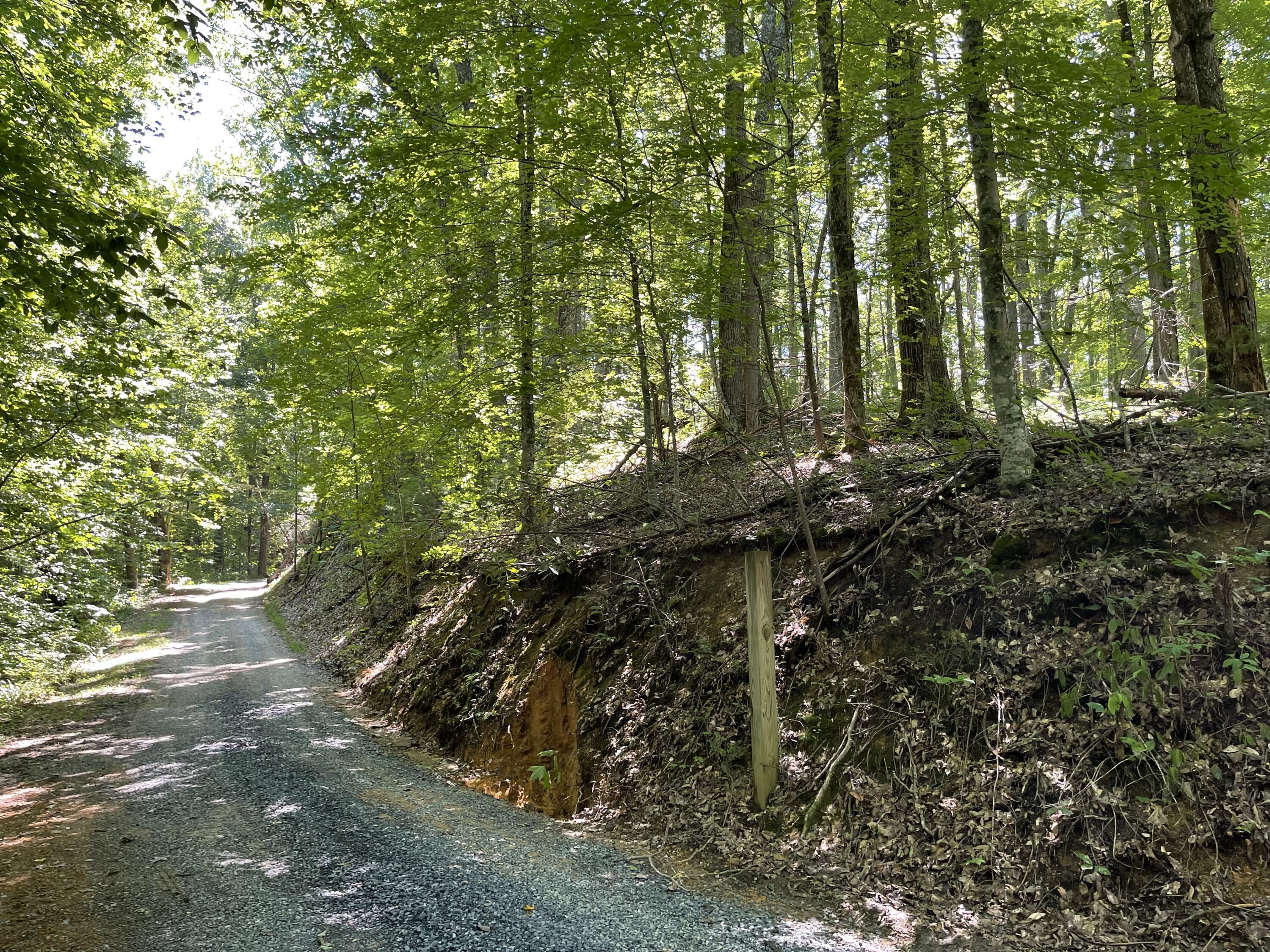 Hollow Road Cosby, TN 37722 - Photo 6 of 8 459D71CE-ADB4-4F2C-BEA5-59E65EF1C0F2
