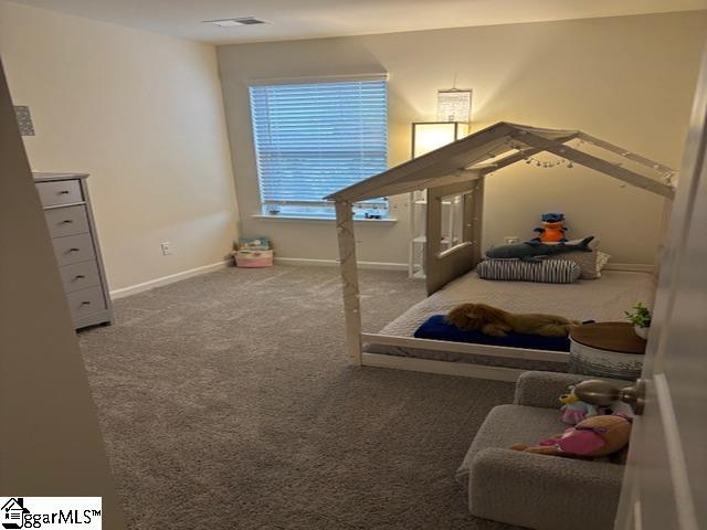 38 Sunrif Court Greer, SC 29651 - Photo 10 of 17