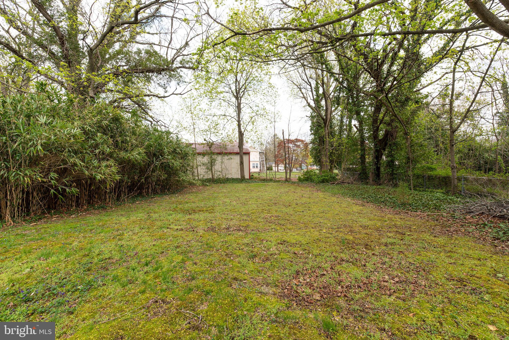 27 South State Street Vineland, NJ 08360 - Photo 45 of 46 a view of a yard with a trees