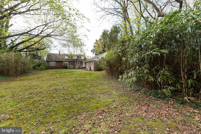 a view of a yard with a tree