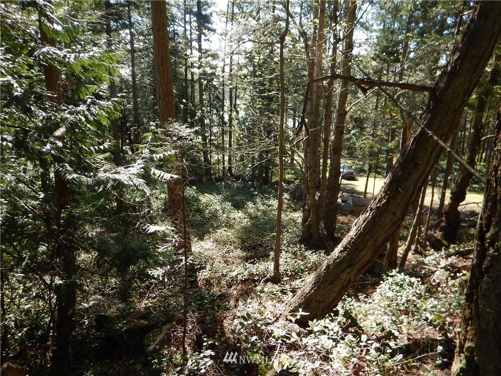 0 Chinook Way Center Island Anacortes, WA 98221 - Photo 14 of 14