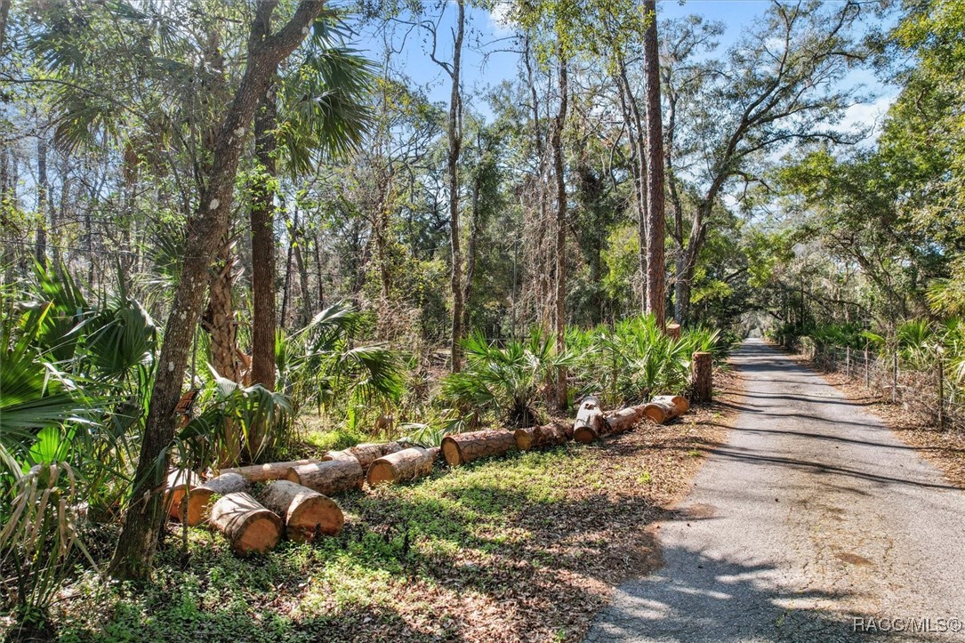 0 Our Road Inglis, FL 34449 - Photo 6 of 14