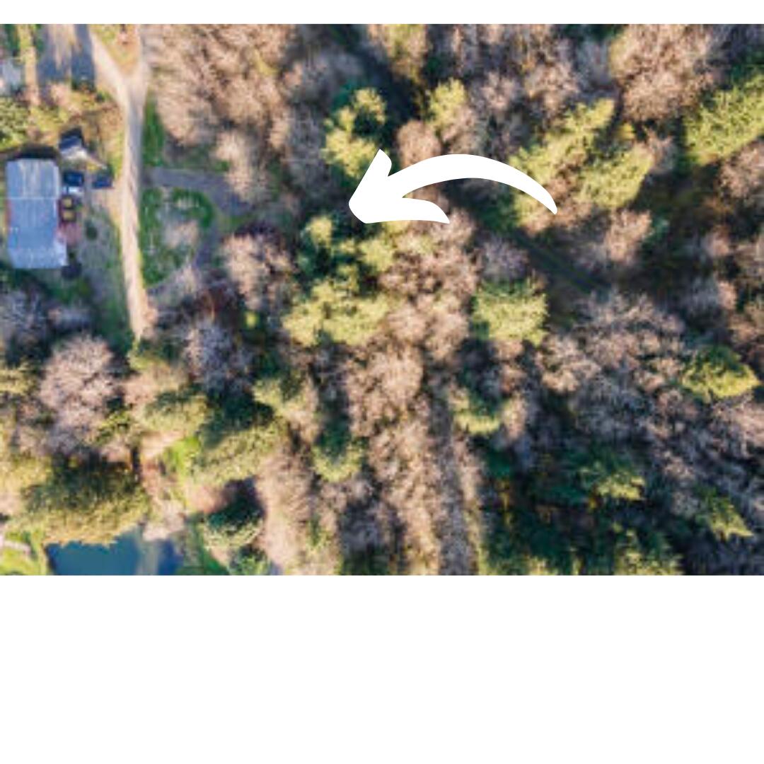 Campground Street Cloverdale, OR 97112 - Photo 2 of 6 CG lot