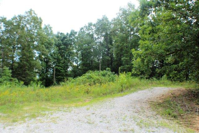 Ac North Toohey Ridge Road Cave City, KY 42127 - Photo 2 of 2 Gallery Image 2