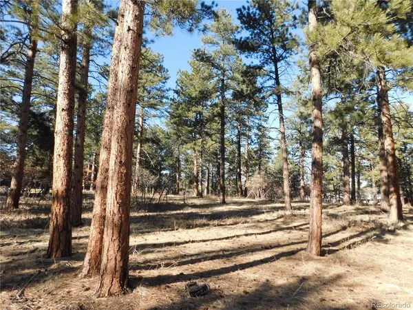 a view of park