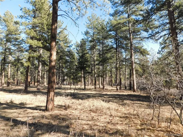 a view of park space