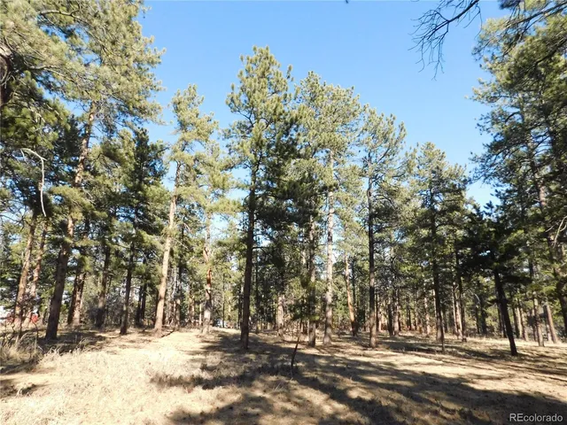 a view of snow on green field