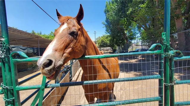 $2,199,000 | 3821 North Potrero Drive, Fullerton, CA 92835