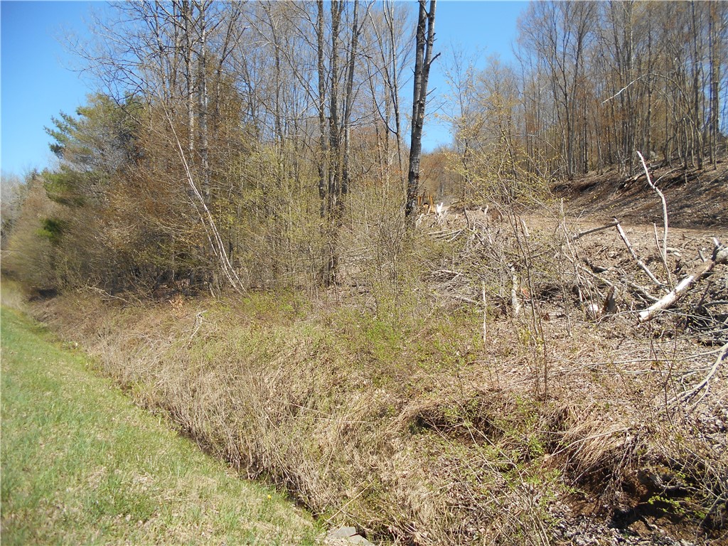 2430 Pine Swamp Road Masonville, NY 13839 - Photo 2 of 6