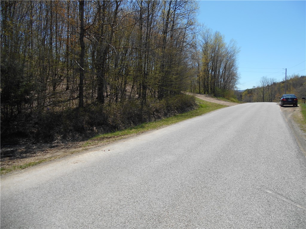 2430 Pine Swamp Road Masonville, NY 13839 - Photo 6 of 6