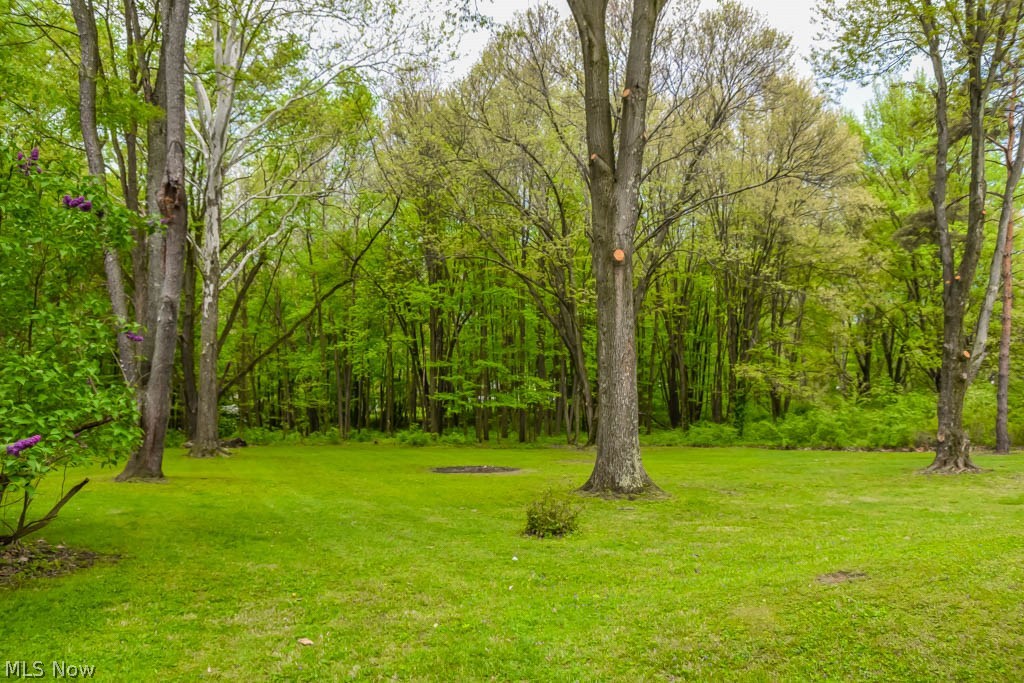 1245 Cherry Road Northwest Massillon, OH 44647 - Photo 19 of 21 On 3 acres! Very wooded and private.