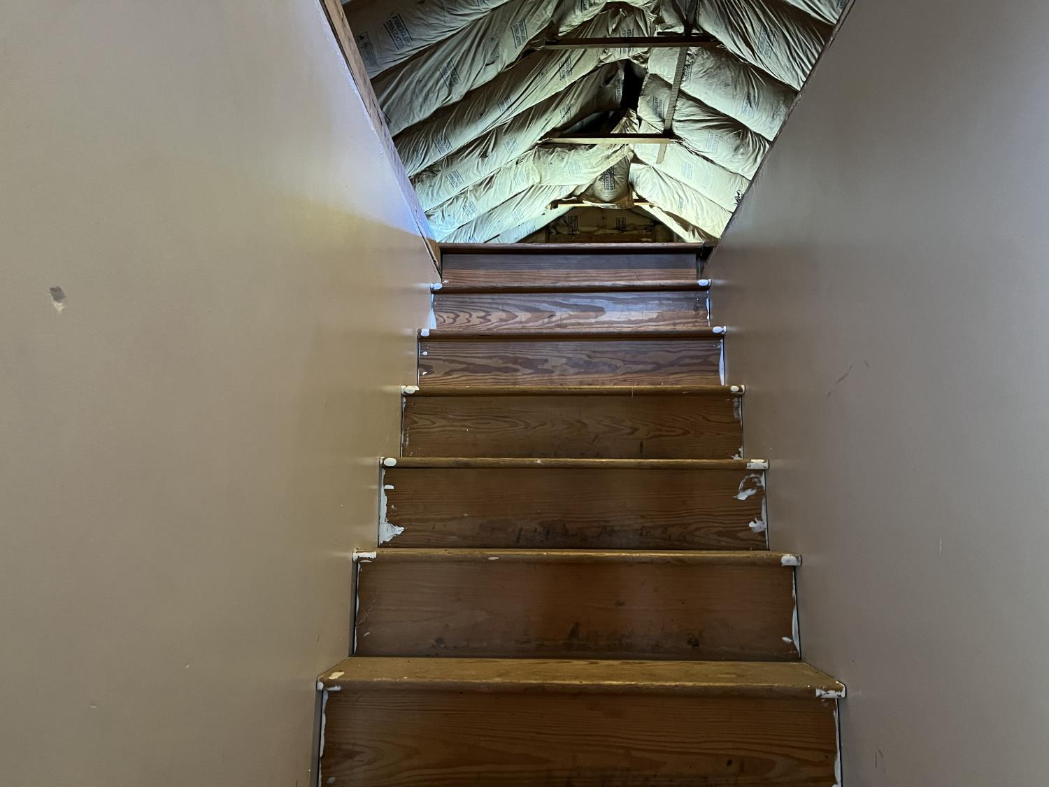 15998 Burke Benning Road Dillsboro, IN 47018 - Photo 19 of 21