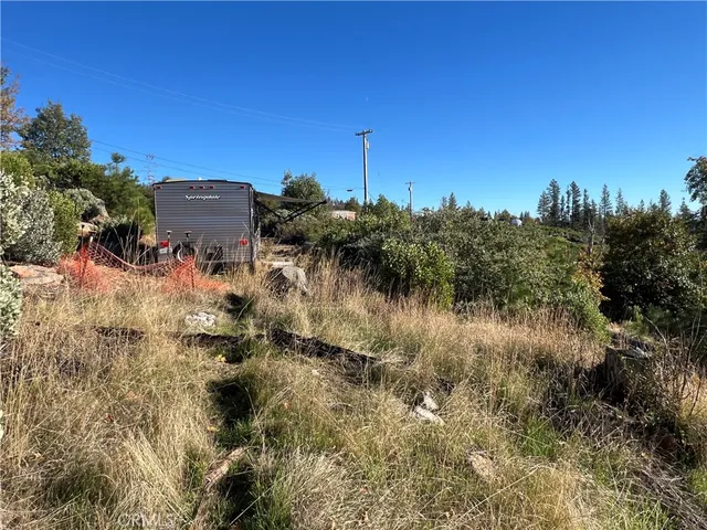 a view of a forest with a mountain in the background