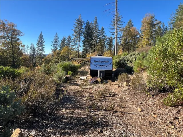 a view of a backyard with plants