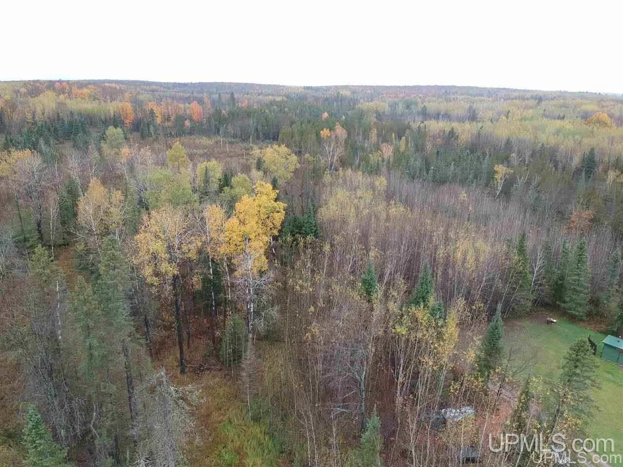30662 Co Road Cornell, MI 49818 - Photo 34 of 42