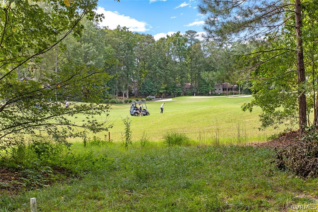 13902 Sagebrook Road Midlothian, VA 23112 - Photo 32 of 37 a view of a large garden with large trees