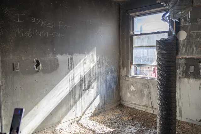 a view of a room that has a large tree and a wooden fence