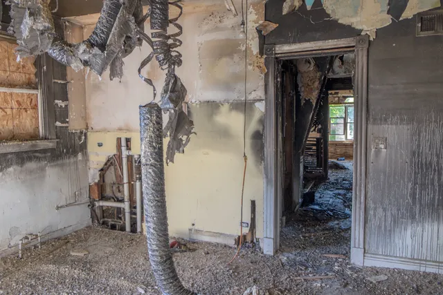 a front view of a house with a large tree