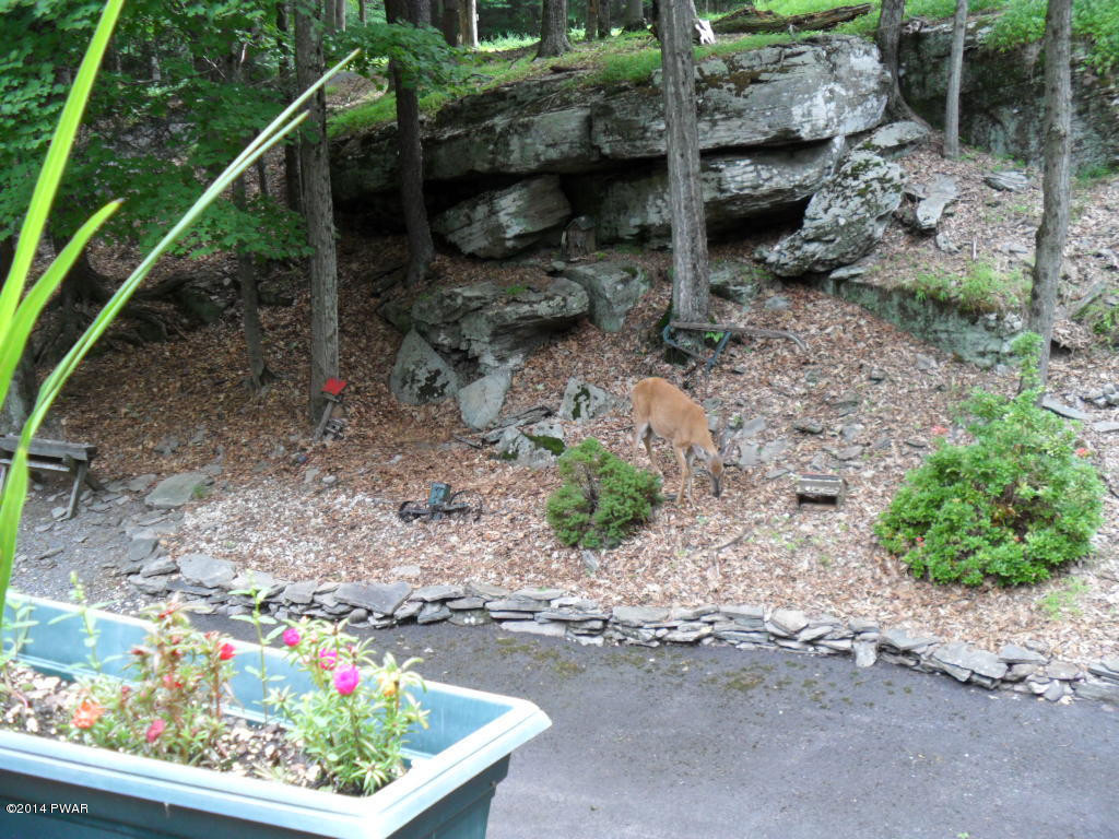 45 Hibernation Road Lake Ariel, PA 18436 - Photo 44 of 47