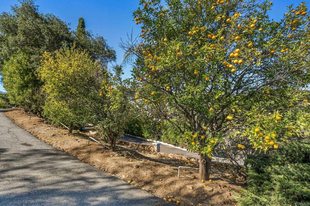 1051 Via Rancho Parkway Escondido, CA 92029 - Photo 69 of 70