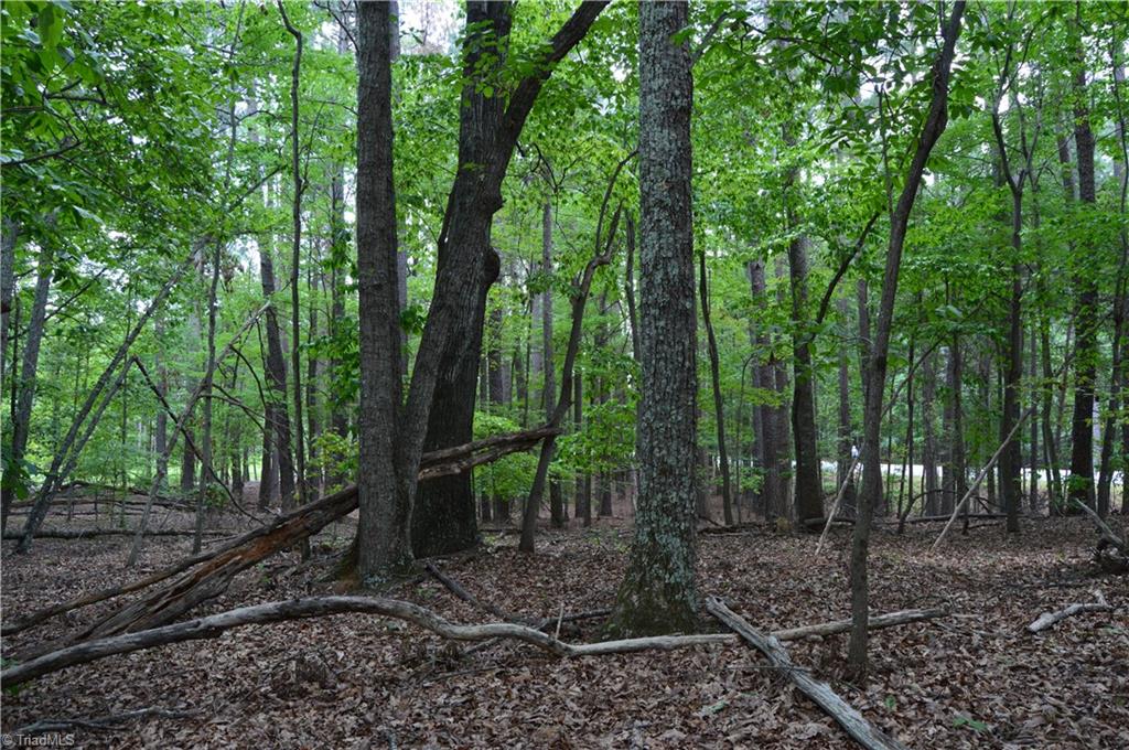 2122 Cherokee Camp Road Reidsville, NC 27320 - Photo 13 of 21 Gallery Image 13
