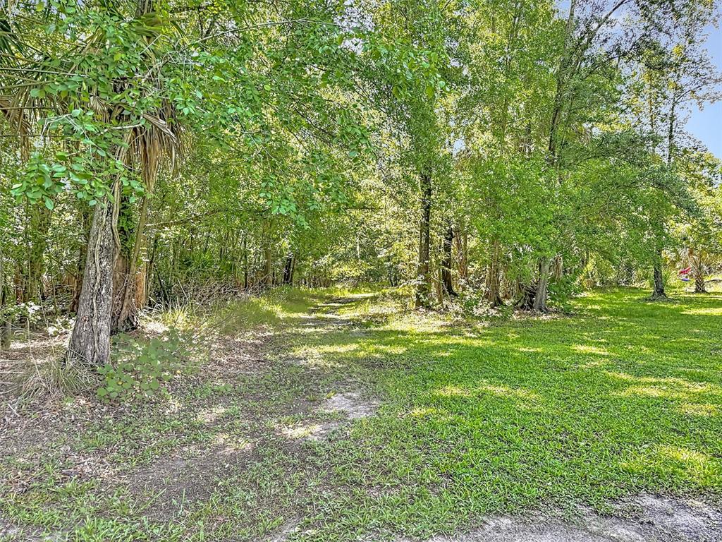 273 Griffin Road Wauchula, FL 33873 - Photo 45 of 48
