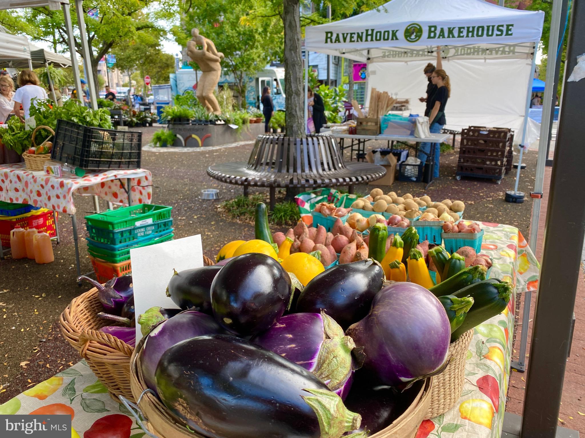 1763 Columbia Road Northwest, Unit 503 Washington, DC 20009 - Photo 20 of 40 Adams Morgan Farmers' Market