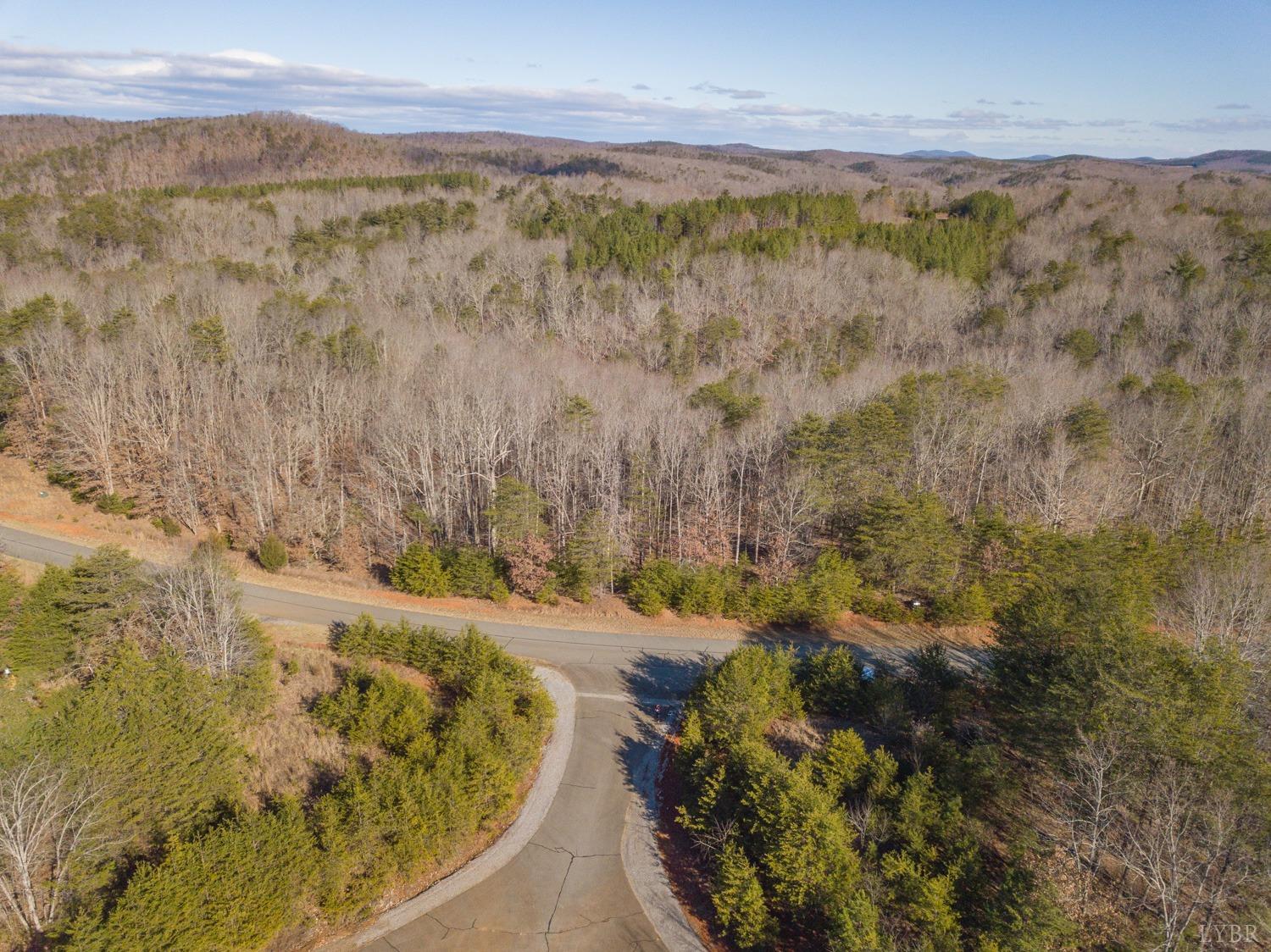 0 Jones Point Pittsville, VA 24139 - Photo 13 of 21 a view of outdoor space and mountain view