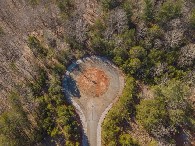 an aerial view of ocean and trees