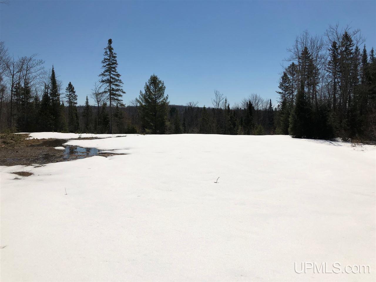 79.99-ac Off West Harding Road Bessemer, MI 49911 - Photo 6 of 33