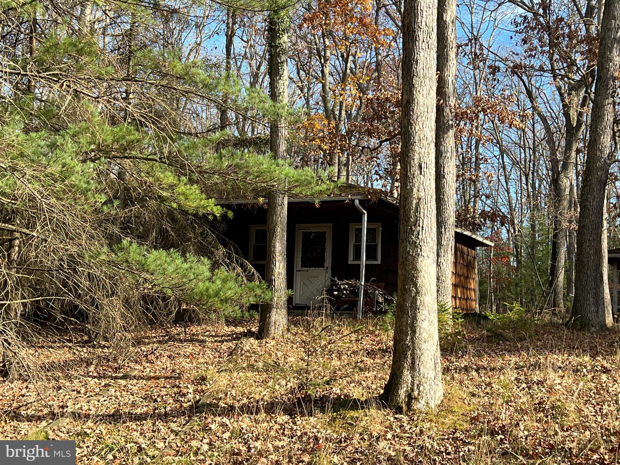 a view of a house with a tree in the yard