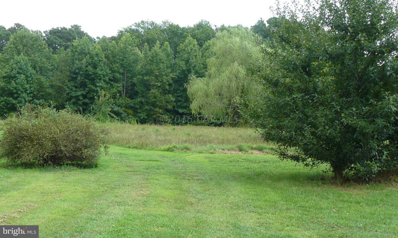 6220 Basket Switch Road Newark, MD 21841 - Photo 12 of 12