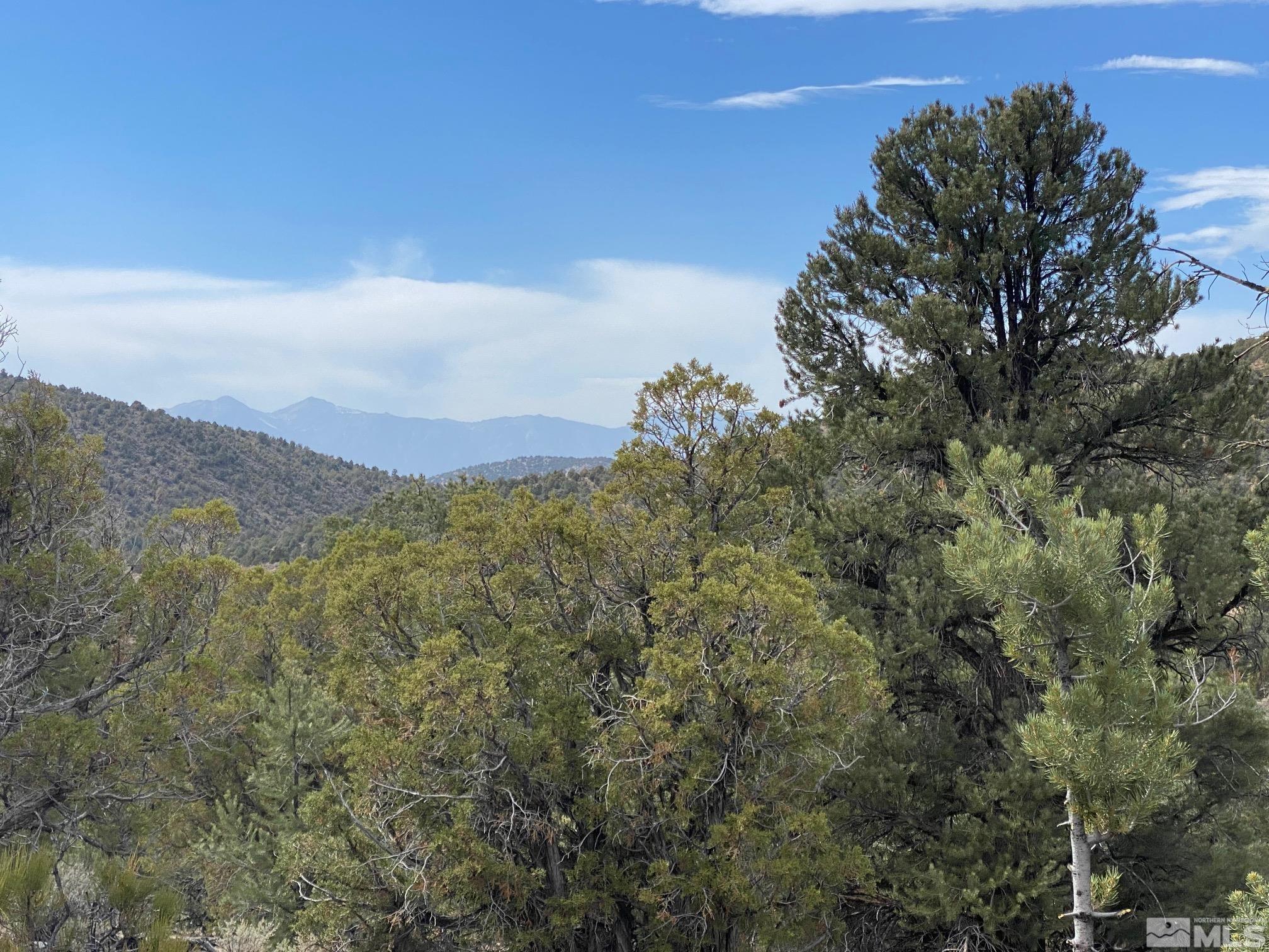 a view of a city with lush green forest