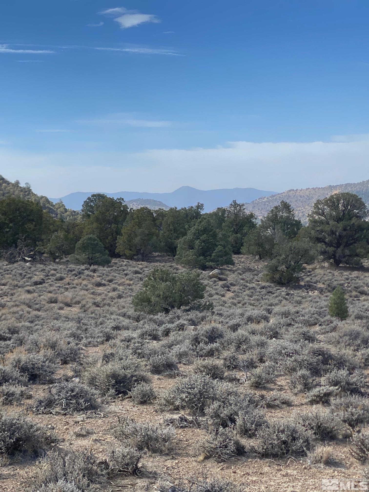 Tbd Pine Nut Minden, NV 89423 - Photo 2 of 8 a view of a field with trees in background