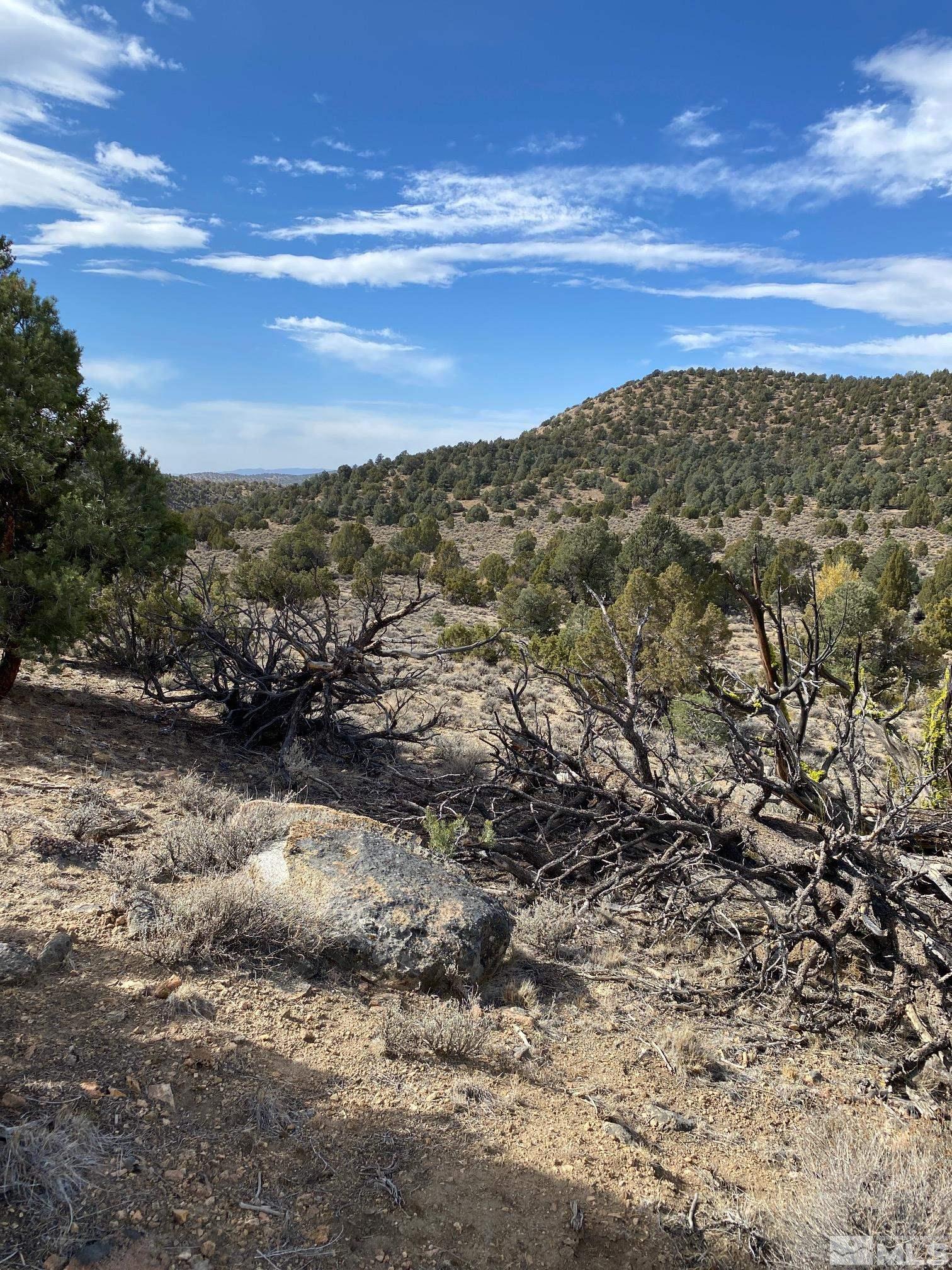 Tbd Pine Nut Minden, NV 89423 - Photo 3 of 8